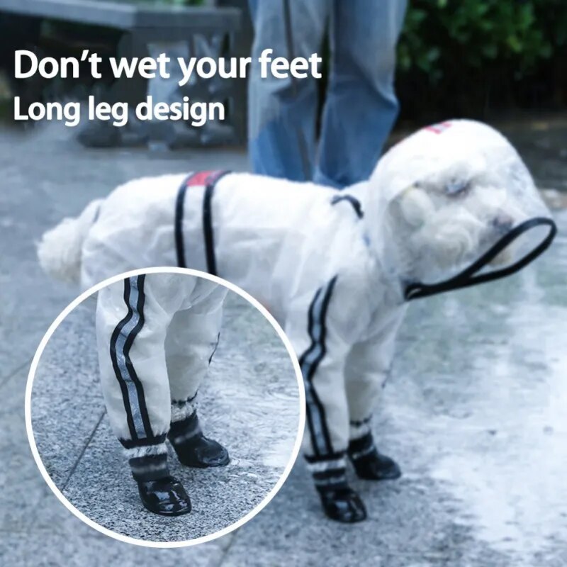 Hooded Transparent Waterproof Windproof Doggy Coat