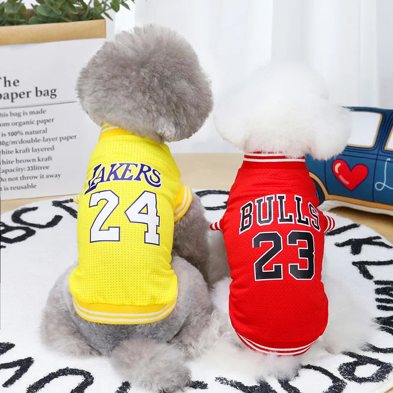 Dog Jersey