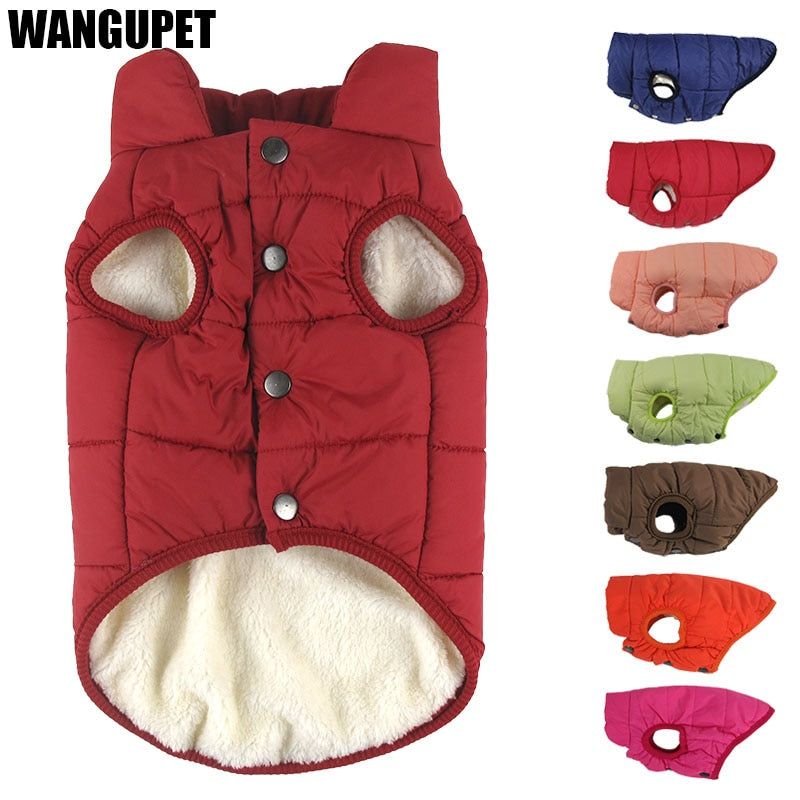 Winter Pet Coat for Dogs