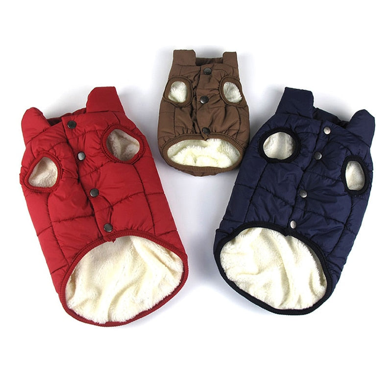 Winter Pet Coat for Dogs