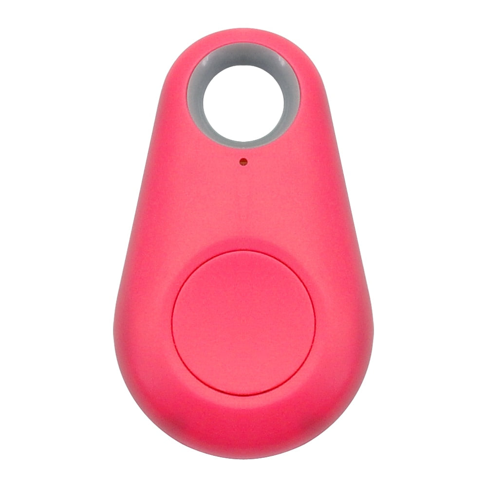 Pet Smart GPS Tracker