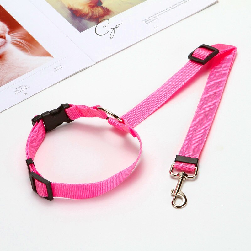 Two-in-one Pet Car Seat