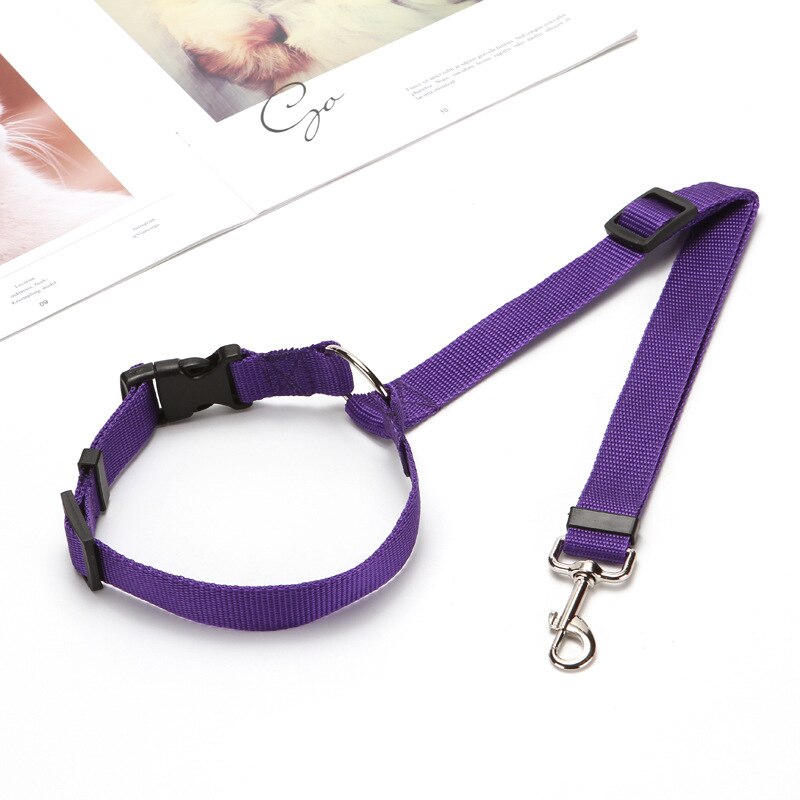Two-in-one Pet Car Seat