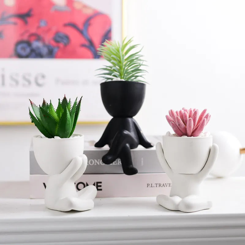 Succulent Plant Pot Simple Art