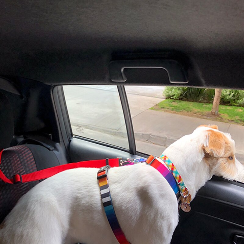 Two-in-one Pet Car Seat