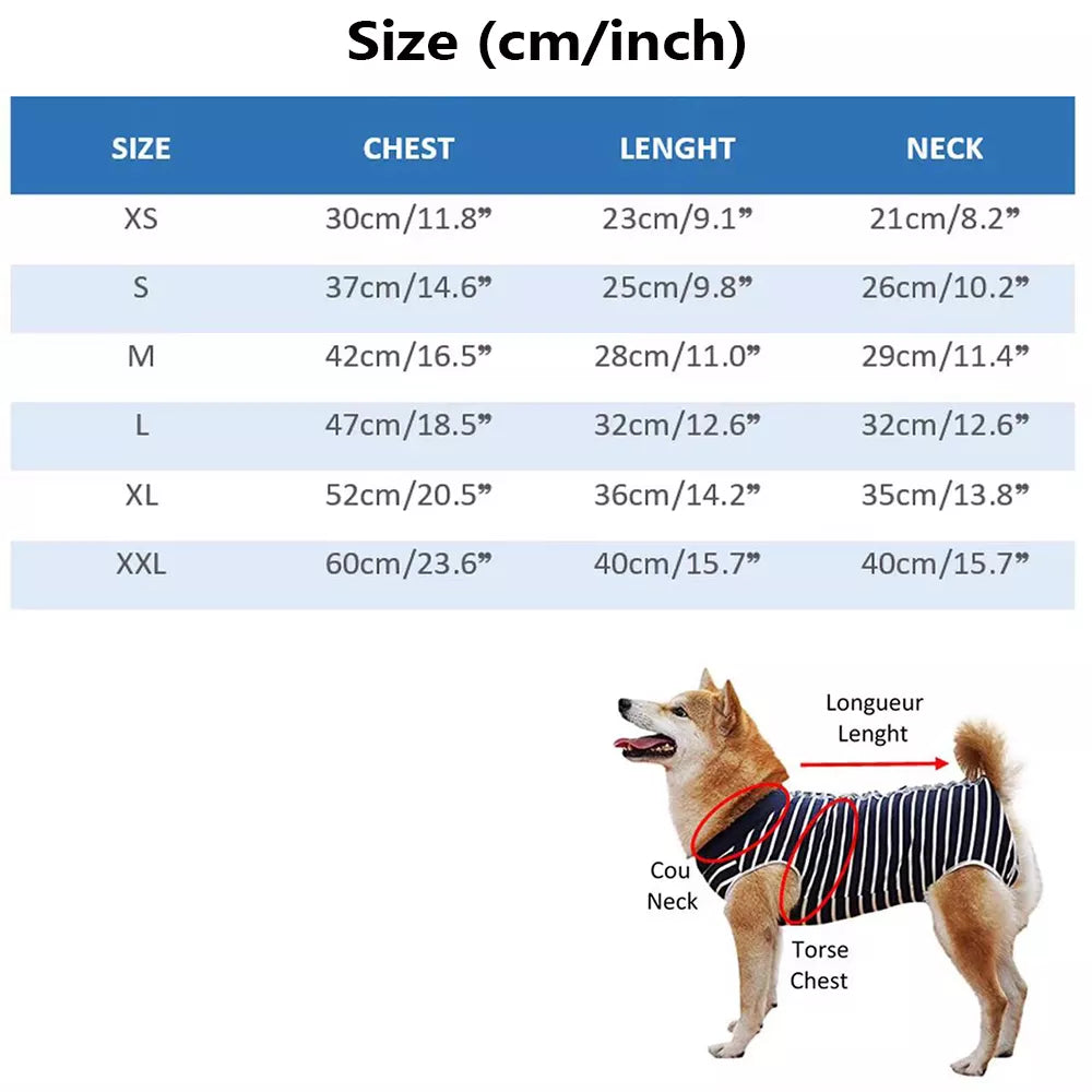 Autumn and Winter Dog Sweater Fashion New Soft
