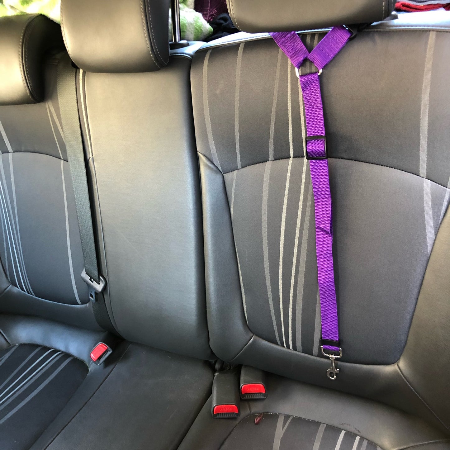 Two-in-one Pet Car Seat
