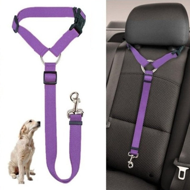 Two-in-one Pet Car Seat