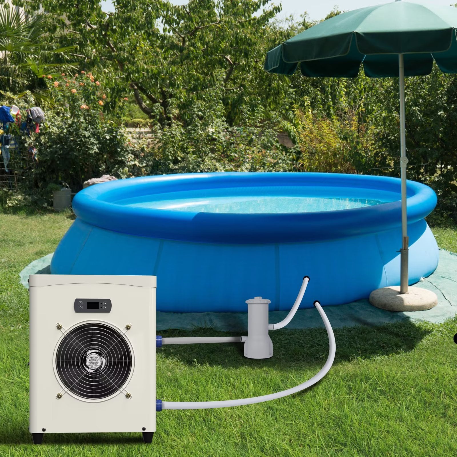 19